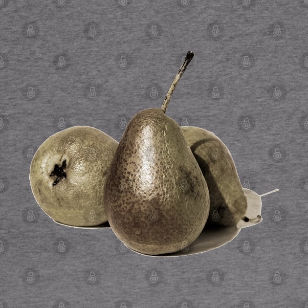 bronze pears by DarlaHallmark